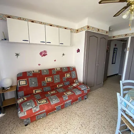 3 Pers Face Avec Loggia Et Commerces A Proximite - Fr-1-750-31 * 卡内